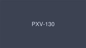 PXV-130 Idol Best 4 Hours Working For Takao